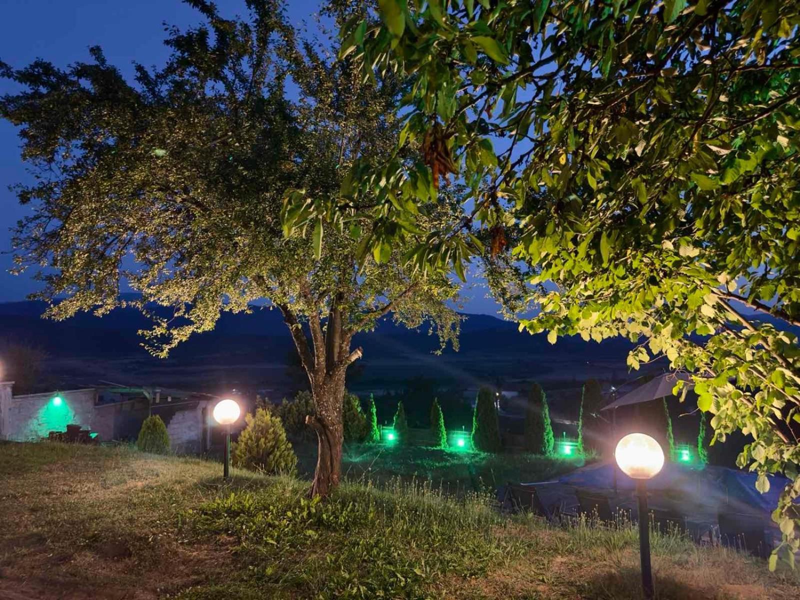 Villa Monte Велинград Экстерьер фото